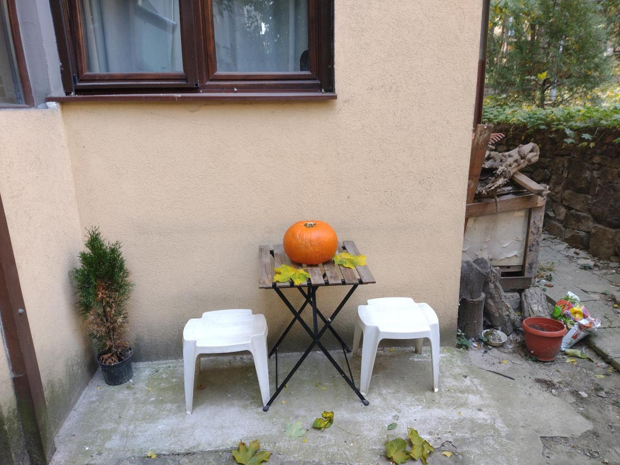 Charming Central Home With Garden Near Parking And Ndk Sofia Zewnętrze zdjęcie