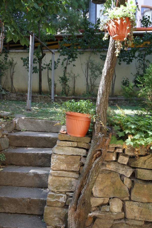 Charming Central Home With Garden Near Parking And Ndk Sofia Zewnętrze zdjęcie